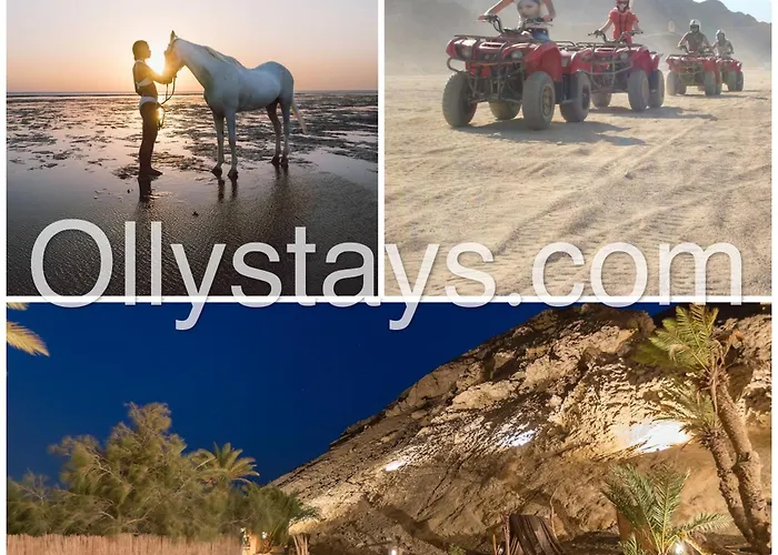 Ollystays - Walk To & Pool, Mangroovy 3br, El Gouna !